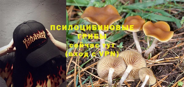 jwh Белокуриха