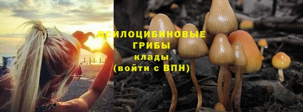 2c-b Беломорск