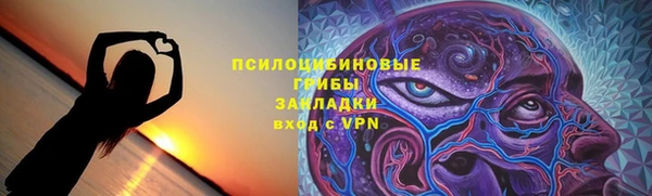 jwh Белокуриха