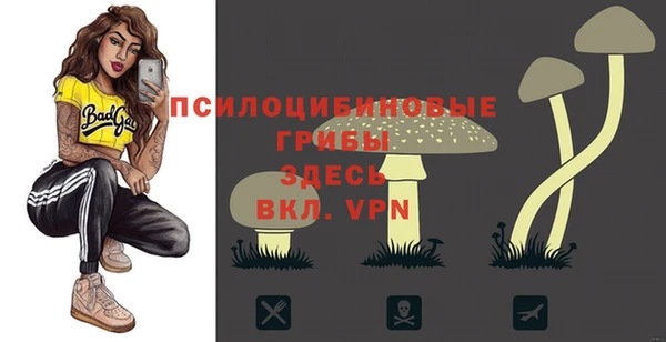 2c-b Беломорск