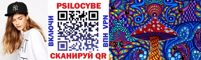 где продают   blacksprut онион  Псилоцибиновые грибы Psilocybe  Боровичи 